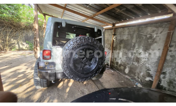 Acheter Occasion Utilitaire Ricomag BW200 Beige à Douala, Littoral Cameroon