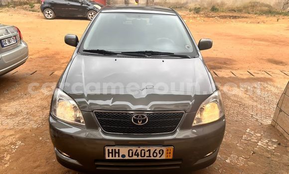 Sayi Na hannu Toyota Corolla Sauran Mota in Douala a Ƙasar Kamaru Sayi Na hannu Toyota Corolla Sauran Mota in Douala a Ƙasar Kamaru