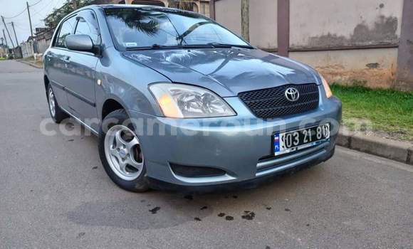 Sayi Na hannu Toyota Corolla Sauran Mota in Yaounde a Babban Kamaru