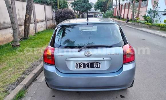Buy Used Toyota Corolla Other Car in Yaounde in Central Cameroon Buy Used Toyota Corolla Other Car in Yaounde in Central Cameroon