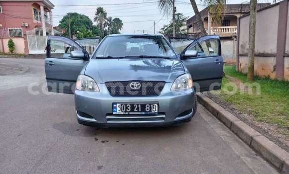 Buy Used Toyota Corolla Other Car in Yaounde in Central Cameroon Buy Used Toyota Corolla Other Car in Yaounde in Central Cameroon