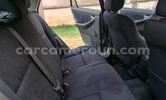 Buy Used Toyota Corolla Other Car in Yaounde in Central Cameroon Buy Used Toyota Corolla Other Car in Yaounde in Central Cameroon