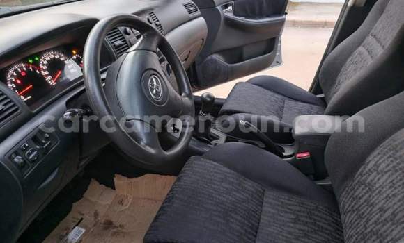 Buy Used Toyota Corolla Other Car in Yaounde in Central Cameroon Buy Used Toyota Corolla Other Car in Yaounde in Central Cameroon