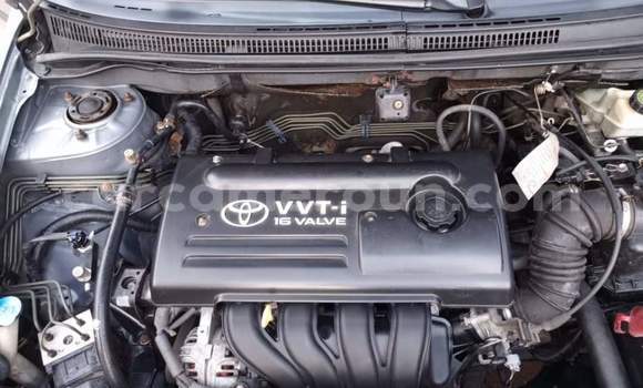 Buy Used Toyota Corolla Other Car in Yaounde in Central Cameroon Buy Used Toyota Corolla Other Car in Yaounde in Central Cameroon