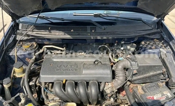 Sayi Na hannu Toyota Matrix Sauran Mota in Douala a Ƙasar Kamaru