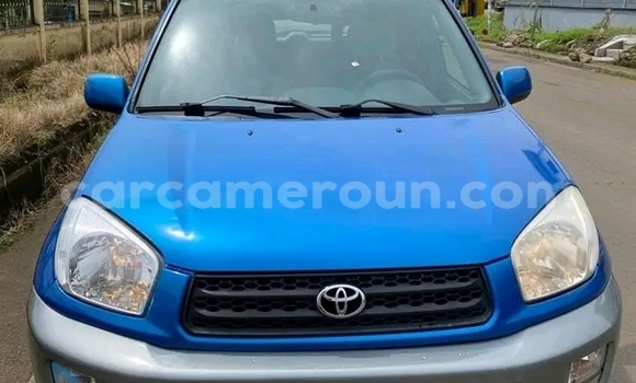 Buy Used Toyota RAV4 Blue Car in Douala in Littoral Cameroon