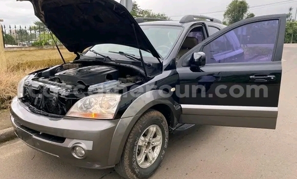Buy Used Kia Sorento Other Car in Douala in Littoral Cameroon