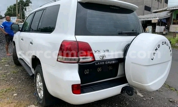 Acheter Occasion Voiture Land Rover Freelander Blanc à Douala, Littoral Cameroon