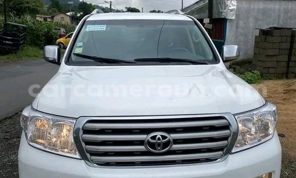 Acheter Occasion Voiture Land Rover Freelander Blanc à Douala, Littoral Cameroon Acheter Occasion Voiture Land Rover Freelander Blanc à Douala, Littoral Cameroon