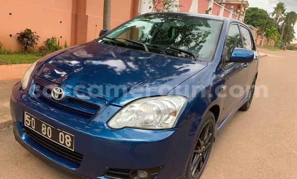 Buy Used Toyota Runx Blue Car in Yaounde in Central Cameroon Buy Used Toyota Runx Blue Car in Yaounde in Central Cameroon