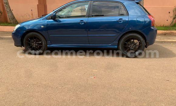 Buy Used Toyota Runx Blue Car in Yaounde in Central Cameroon Buy Used Toyota Runx Blue Car in Yaounde in Central Cameroon