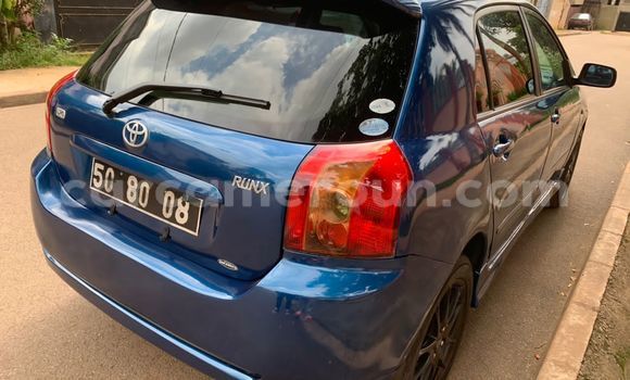 Buy Used Toyota Runx Blue Car in Yaounde in Central Cameroon Buy Used Toyota Runx Blue Car in Yaounde in Central Cameroon