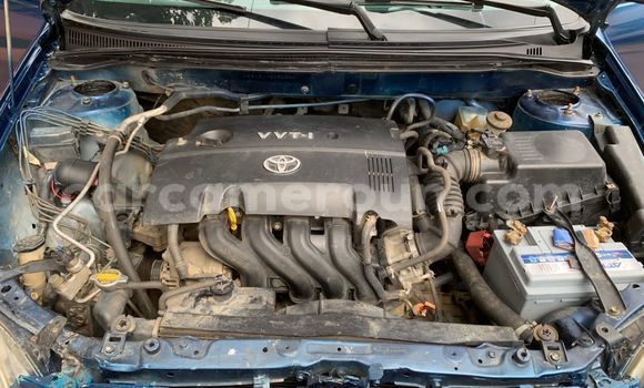 Buy Used Toyota Runx Blue Car in Yaounde in Central Cameroon Buy Used Toyota Runx Blue Car in Yaounde in Central Cameroon