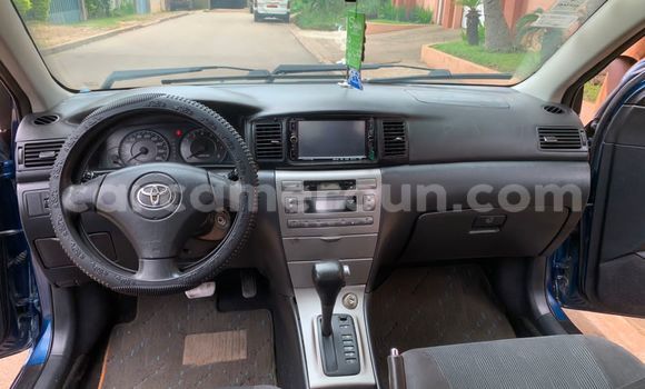 Buy Used Toyota Runx Blue Car in Yaounde in Central Cameroon Buy Used Toyota Runx Blue Car in Yaounde in Central Cameroon