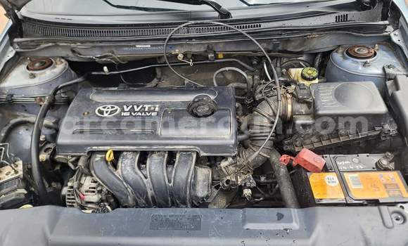 Buy Used Toyota Harrier Black Car in Yaounde in Central Cameroon Buy Used Toyota Harrier Black Car in Yaounde in Central Cameroon