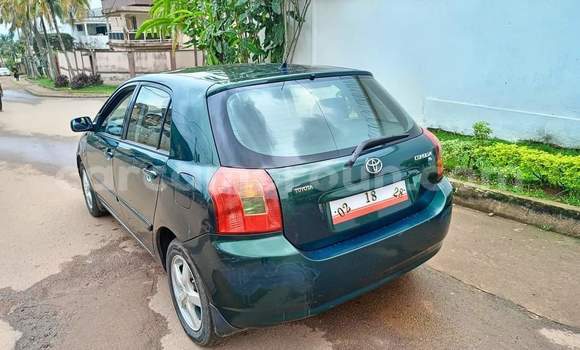 Buy Used Toyota Corolla Green Car in Yaounde in Central Cameroon Buy Used Toyota Corolla Green Car in Yaounde in Central Cameroon