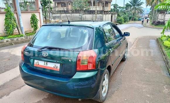 Buy Used Toyota Corolla Green Car in Yaounde in Central Cameroon Buy Used Toyota Corolla Green Car in Yaounde in Central Cameroon