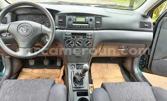 Buy Used Toyota Corolla Green Car in Yaounde in Central Cameroon Buy Used Toyota Corolla Green Car in Yaounde in Central Cameroon