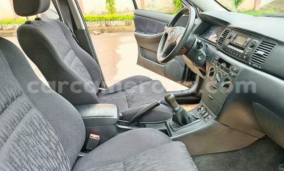 Buy Used Toyota Corolla Green Car in Yaounde in Central Cameroon Buy Used Toyota Corolla Green Car in Yaounde in Central Cameroon