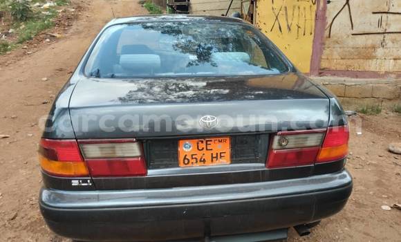 Sayi Na hannu Toyota Carina Sauran Mota in Yaounde a Babban Kamaru Sayi Na hannu Toyota Carina Sauran Mota in Yaounde a Babban Kamaru