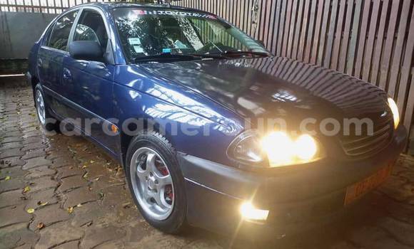 Buy Used Toyota Avensis Blue Car in Yaounde in Central Cameroon