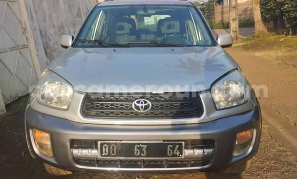Buy Used Toyota RAV4 Other Car in Yaounde in Central Cameroon