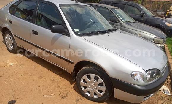 Sayi Na hannu Toyota Corolla Sauran Mota in Yaounde a Babban Kamaru Sayi Na hannu Toyota Corolla Sauran Mota in Yaounde a Babban Kamaru