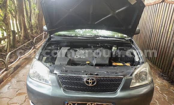 Acheter Occasion Voiture Toyota Corolla Autre à Yaoundé, Central Cameroon Acheter Occasion Voiture Toyota Corolla Autre à Yaoundé, Central Cameroon