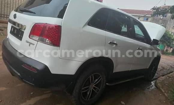 Sayi Na hannu Kia Sorento White Mota in Yaounde a Babban Kamaru Sayi Na hannu Kia Sorento White Mota in Yaounde a Babban Kamaru