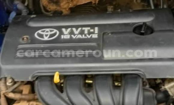 Sayi Na hannu Toyota Corolla Sauran Mota in Yaounde a Babban Kamaru Sayi Na hannu Toyota Corolla Sauran Mota in Yaounde a Babban Kamaru