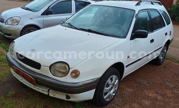 Acheter Occasion Voiture Toyota Corolla Blanc à Yaoundé, Central Cameroon Acheter Occasion Voiture Toyota Corolla Blanc à Yaoundé, Central Cameroon