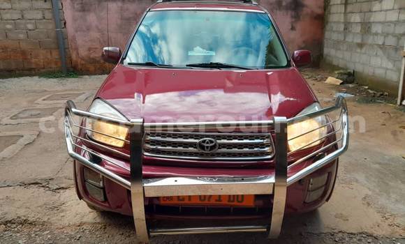 Sayi Na hannu Toyota RAV4 Red Mota in Yaounde a Babban Kamaru