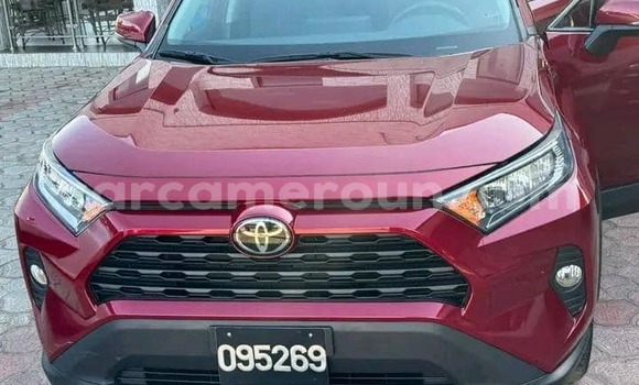 Buy Used Toyota RAV4 Red Car in Douala in Littoral Cameroon