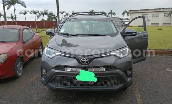 Sayi Na hannu Toyota RAV4 Sauran Mota in Douala a Ƙasar Kamaru