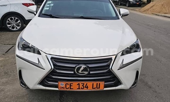 Buy Used Lexus NX White Car in Douala in Littoral Cameroon