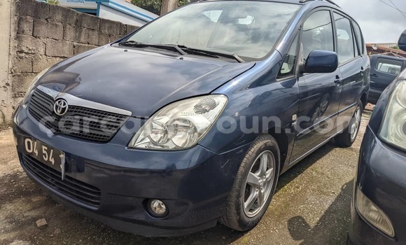 Buy Used Toyota Corolla Blue Car in Yaounde in Central Cameroon Buy Used Toyota Corolla Blue Car in Yaounde in Central Cameroon