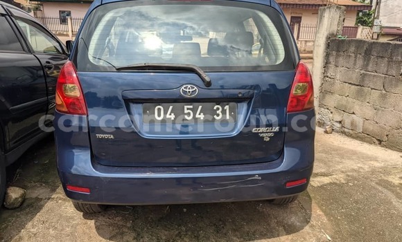 Buy Used Toyota Corolla Blue Car in Yaounde in Central Cameroon Buy Used Toyota Corolla Blue Car in Yaounde in Central Cameroon