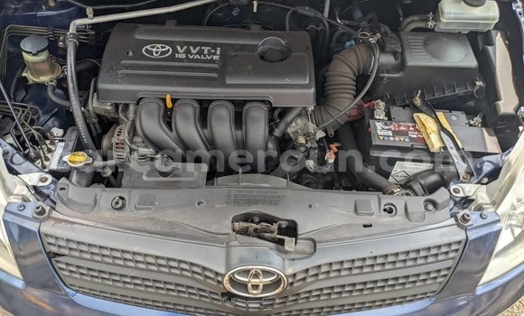 Buy Used Toyota Corolla Blue Car in Yaounde in Central Cameroon Buy Used Toyota Corolla Blue Car in Yaounde in Central Cameroon