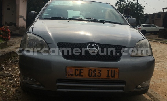 Acheter Occasion Voiture Toyota Corolla Gris à Douala, Littoral Cameroon Acheter Occasion Voiture Toyota Corolla Gris à Douala, Littoral Cameroon