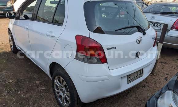 Buy Used Toyota Yaris White Car in Yaounde in Central Cameroon Buy Used Toyota Yaris White Car in Yaounde in Central Cameroon