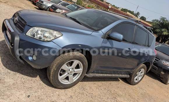 Buy Used Toyota RAV4 Blue Car in Yaounde in Central Cameroon Buy Used Toyota RAV4 Blue Car in Yaounde in Central Cameroon