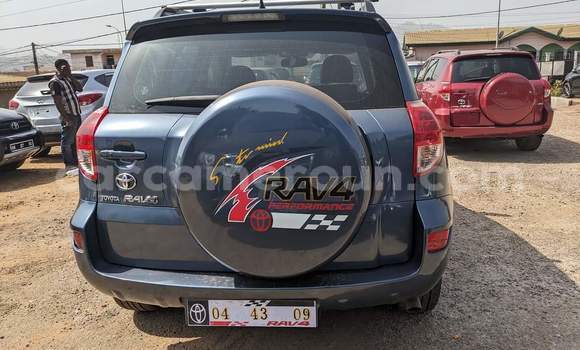 Buy Used Toyota RAV4 Blue Car in Yaounde in Central Cameroon Buy Used Toyota RAV4 Blue Car in Yaounde in Central Cameroon