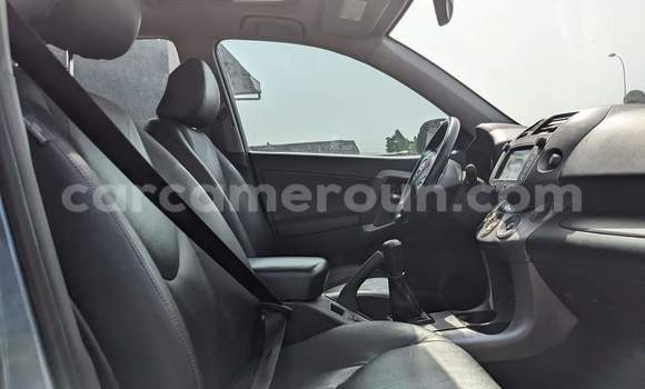 Buy Used Toyota RAV4 Blue Car in Yaounde in Central Cameroon Buy Used Toyota RAV4 Blue Car in Yaounde in Central Cameroon