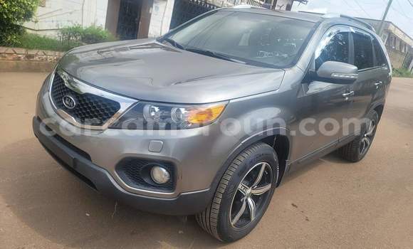 Buy Used Kia Sorento Silver Car in Yaounde in Central Cameroon