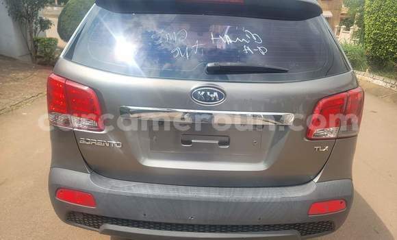 Acheter Occasion Voiture Kia Sorento Gris à Yaoundé, Central Cameroon Acheter Occasion Voiture Kia Sorento Gris à Yaoundé, Central Cameroon