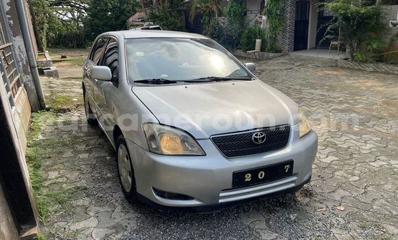 Sayi Imported Toyota Corolla Azurfa Mota in Douala a Ƙasar Kamaru