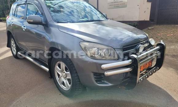Sayi Na hannu Toyota RAV4 Azurfa Mota in Yaounde a Babban Kamaru Sayi Na hannu Toyota RAV4 Azurfa Mota in Yaounde a Babban Kamaru