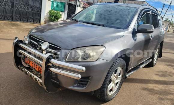 Sayi Na hannu Toyota RAV4 Azurfa Mota in Yaounde a Babban Kamaru Sayi Na hannu Toyota RAV4 Azurfa Mota in Yaounde a Babban Kamaru