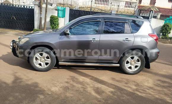 Sayi Na hannu Toyota RAV4 Azurfa Mota in Yaounde a Babban Kamaru Sayi Na hannu Toyota RAV4 Azurfa Mota in Yaounde a Babban Kamaru