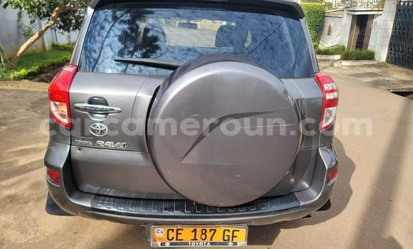 Sayi Na hannu Toyota RAV4 Azurfa Mota in Yaounde a Babban Kamaru Sayi Na hannu Toyota RAV4 Azurfa Mota in Yaounde a Babban Kamaru